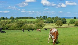 EuroDairy – Recommendations for research or policy development